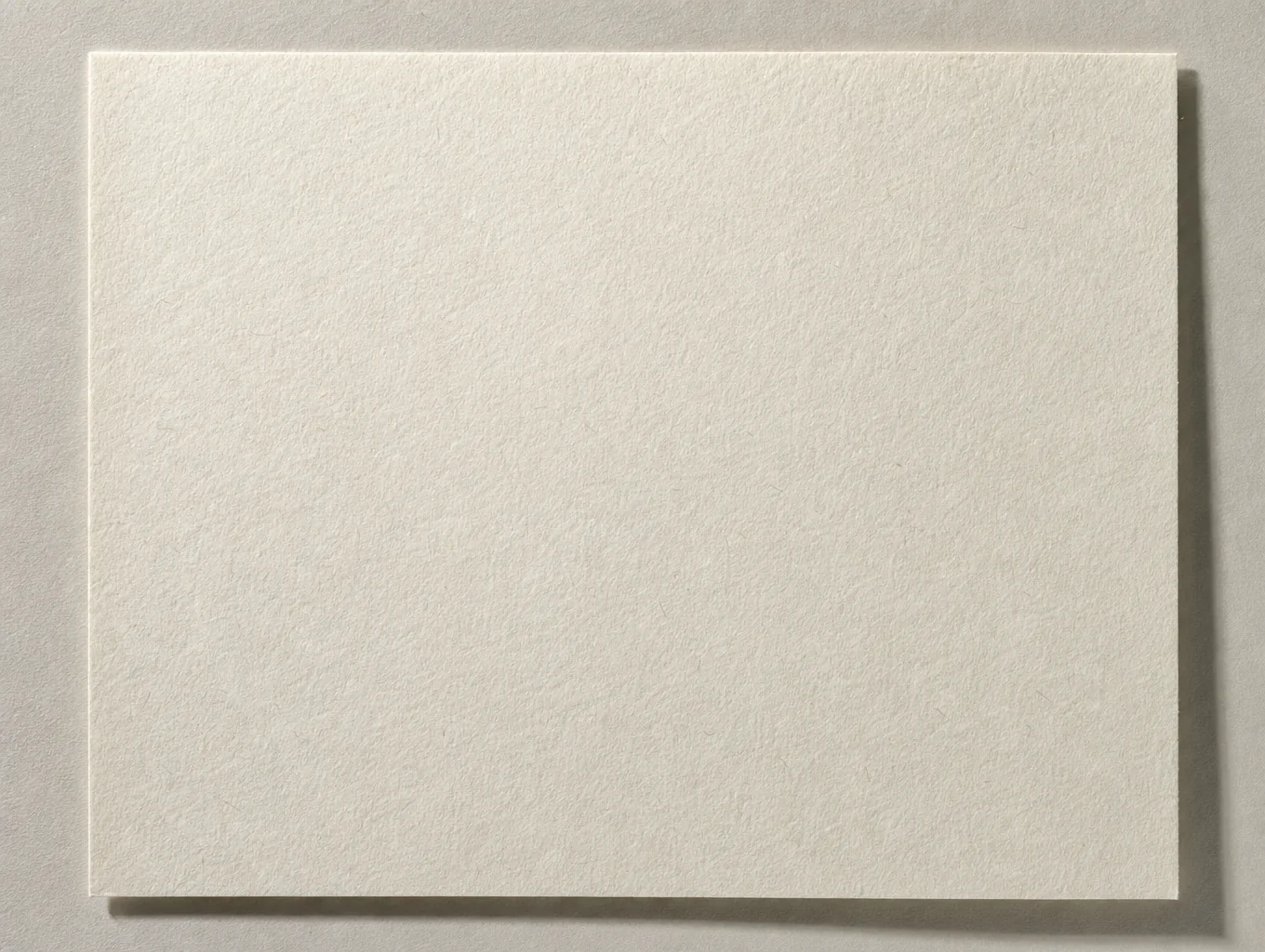 Close-up of textured archival cotton paper stock
