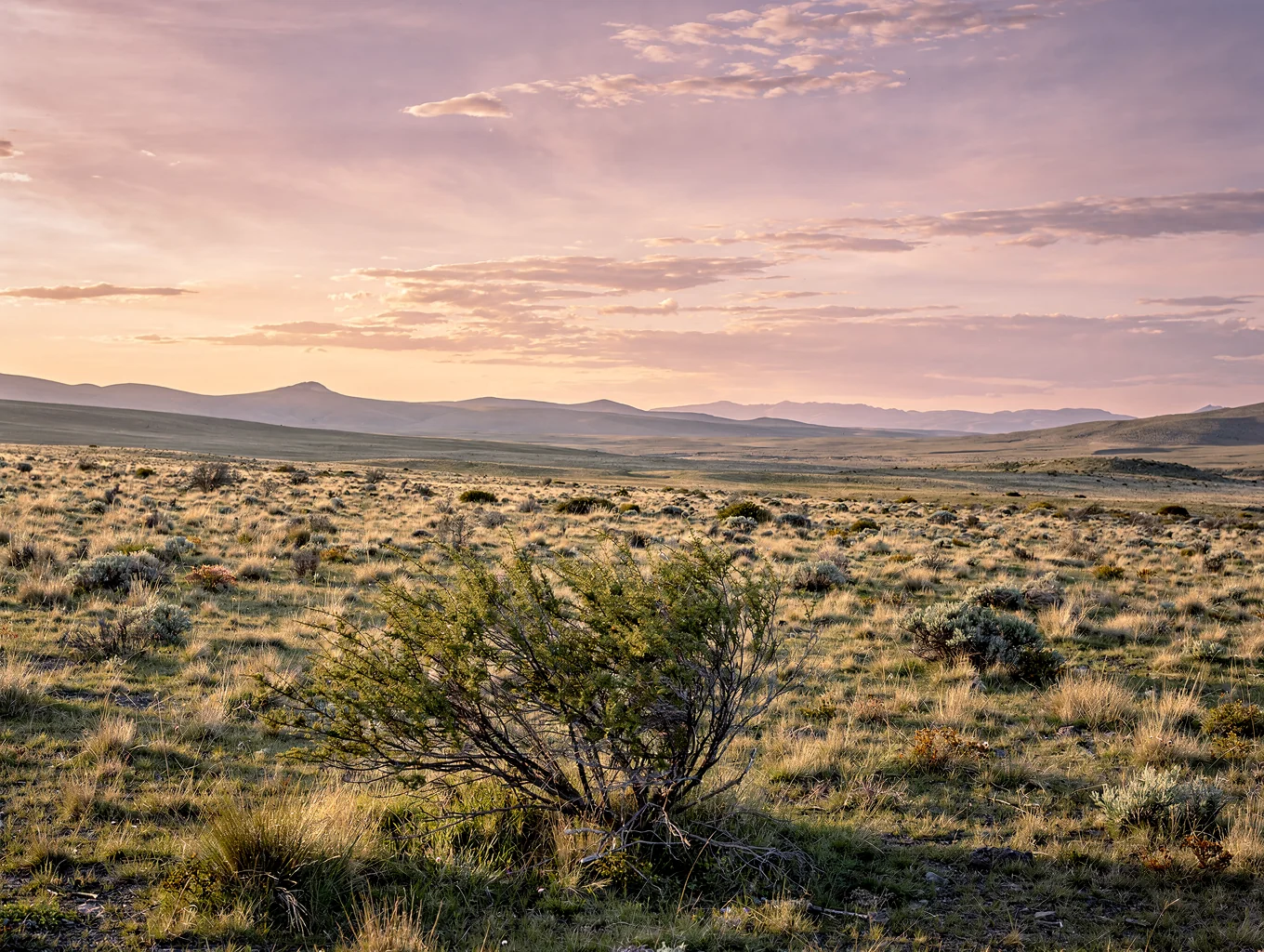 Valley landscape in Patagonia